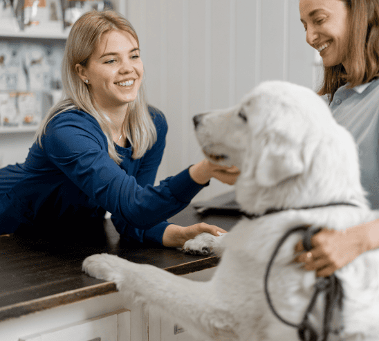 Veterinary services at Fort Harrison Veterinarians